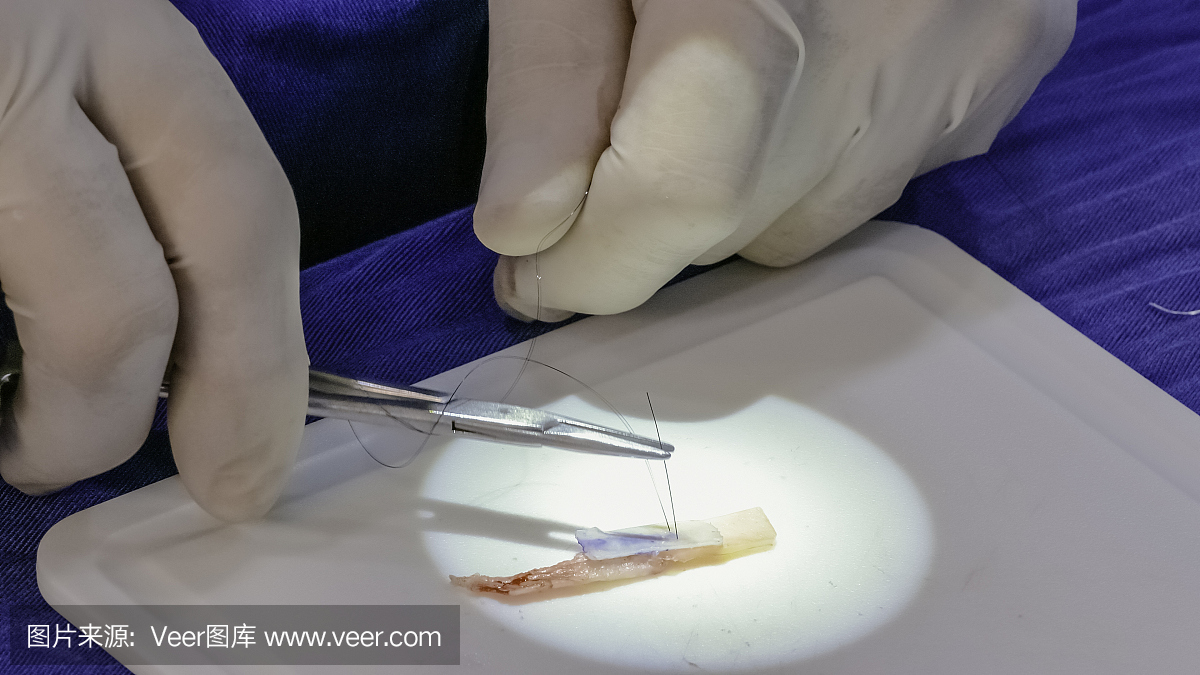 外科医生正在做手术缝合连接肋骨软骨切片到鼻