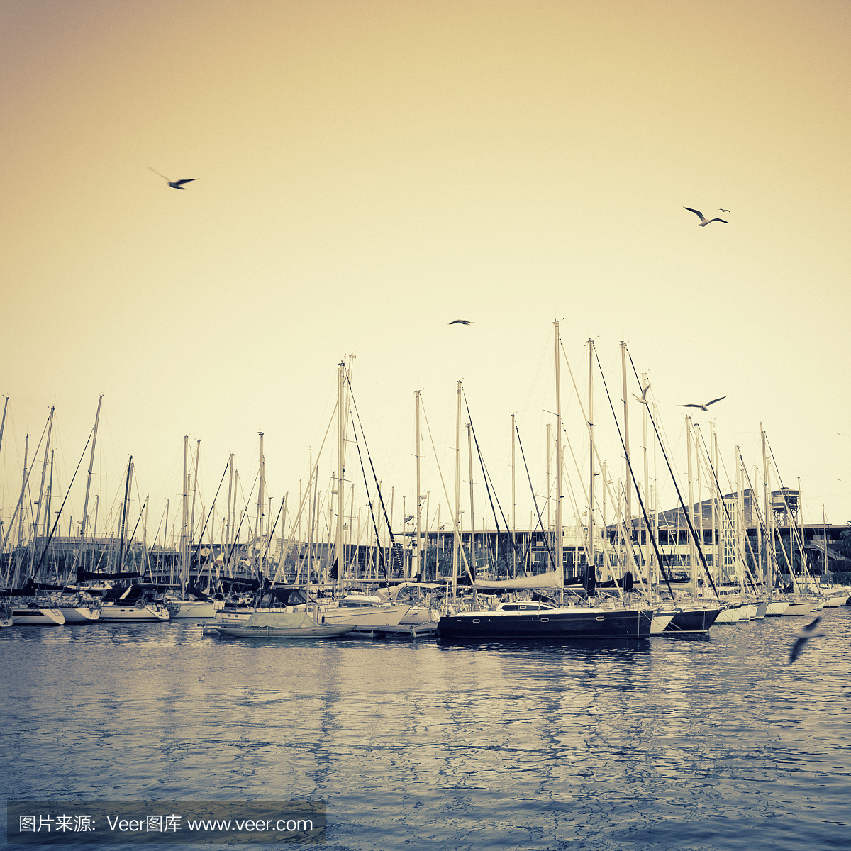 巴塞罗那港口,巴塞罗那港湾,水,天空