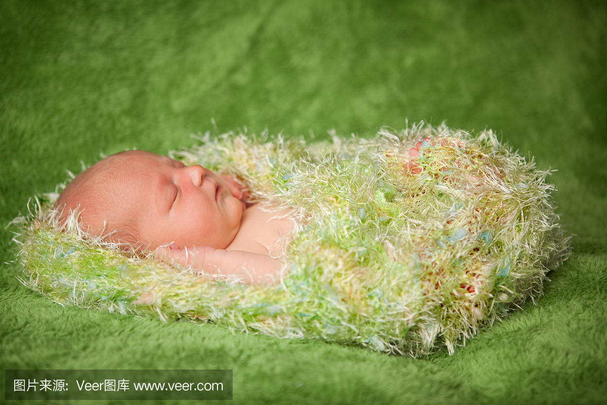 新生婴儿在毛毛毯中平静地睡觉