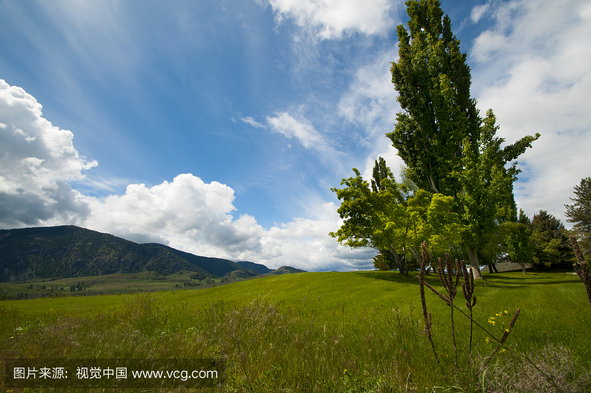 西雅图,华盛顿州,美国附近的景观,