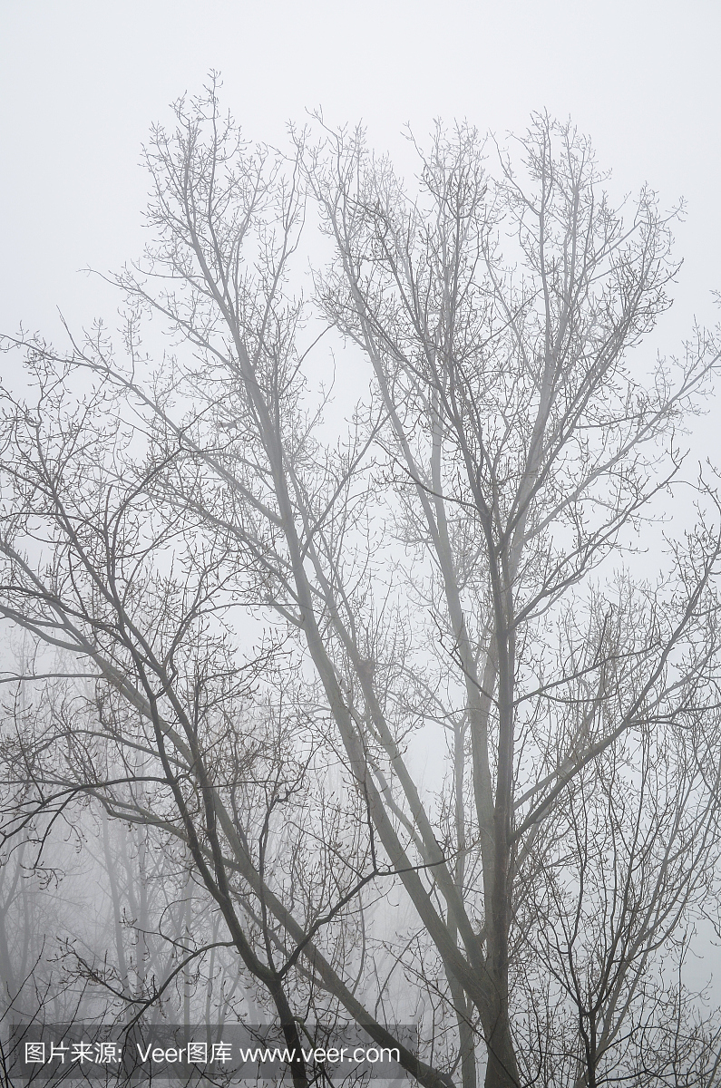 不舒服,不合意的,不得劲的,忧虑的