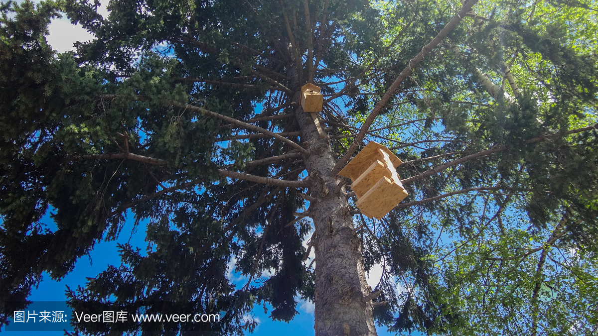 摄影,仙女屋赛马场,水平画幅,无人