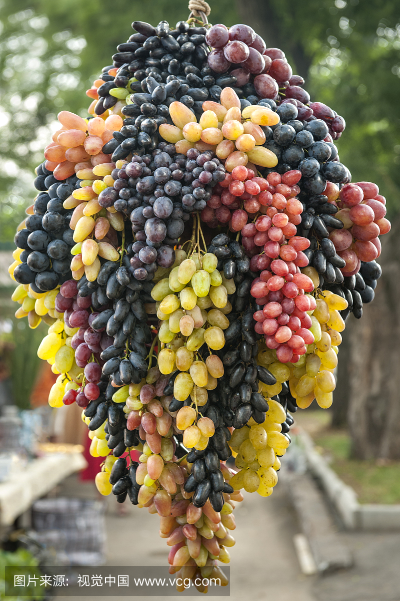 德涅斯特河沿岸摩尔达维亚共和国,串,葡萄酒酿