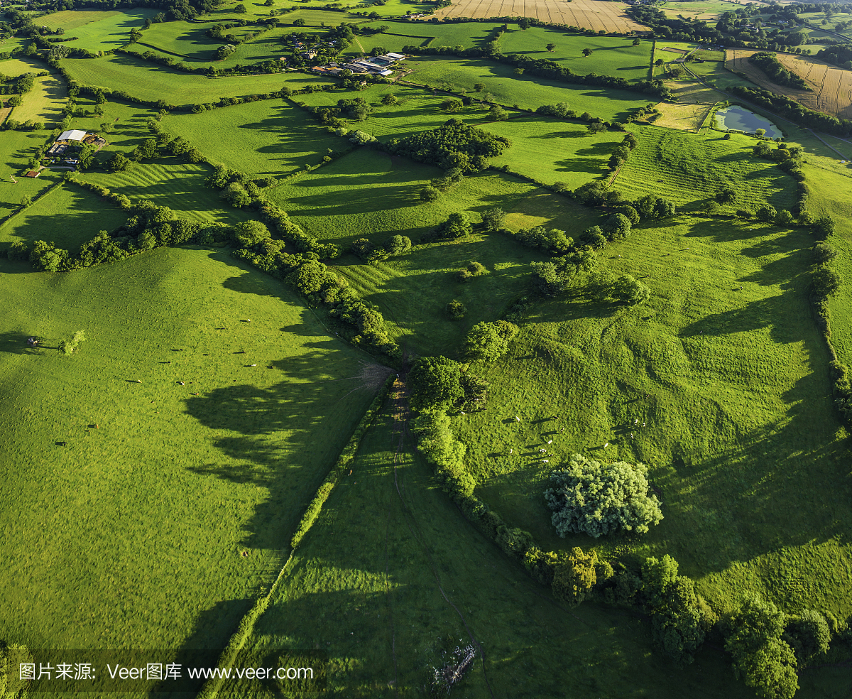 空中照片在充满活力的绿地野畜牧场国家农场