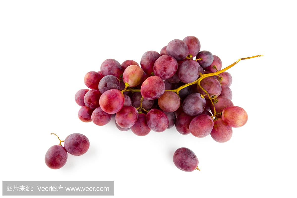 葡萄,葡萄粒,酿红酒用葡萄,酿酒葡萄