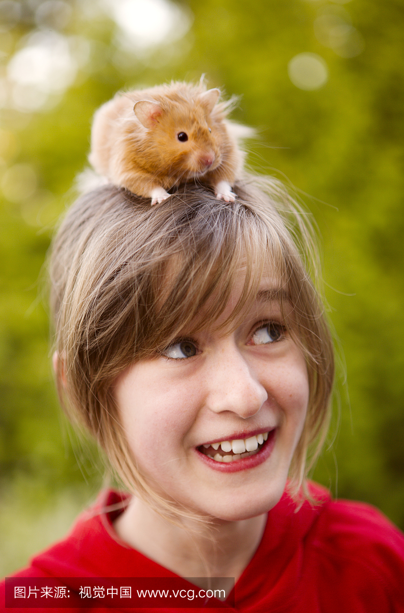 仓鼠,大老鼠,硕鼠,大田鼠