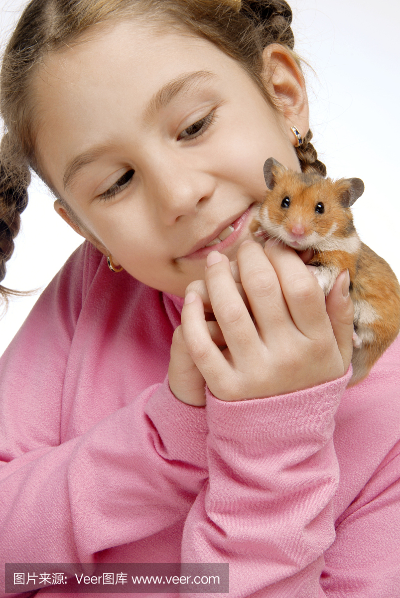 仓鼠,大老鼠,硕鼠,大田鼠