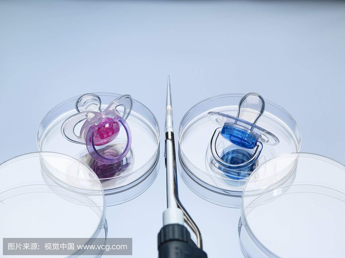 两个奶嘴男孩在培养皿中可以公司和婴儿设计师做室内设计说明注册什么女孩图片