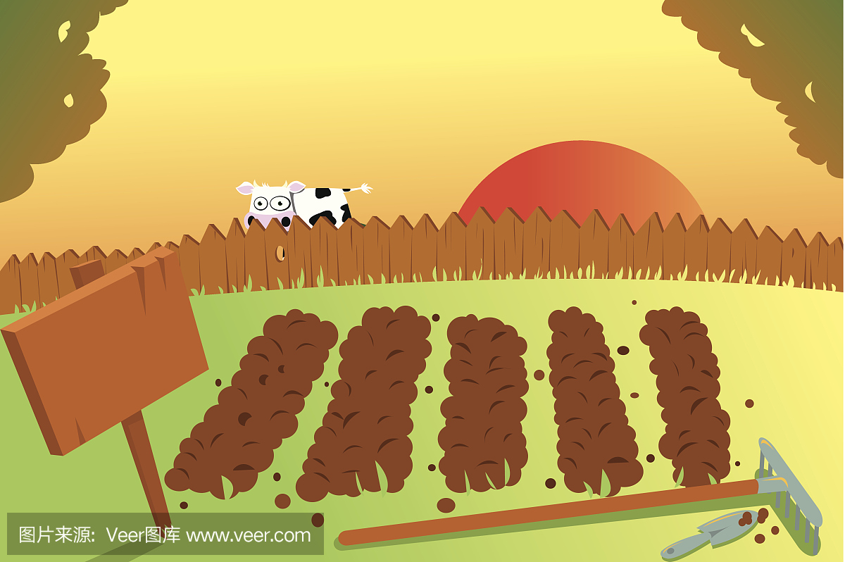 夕阳和奶牛在蔬菜园