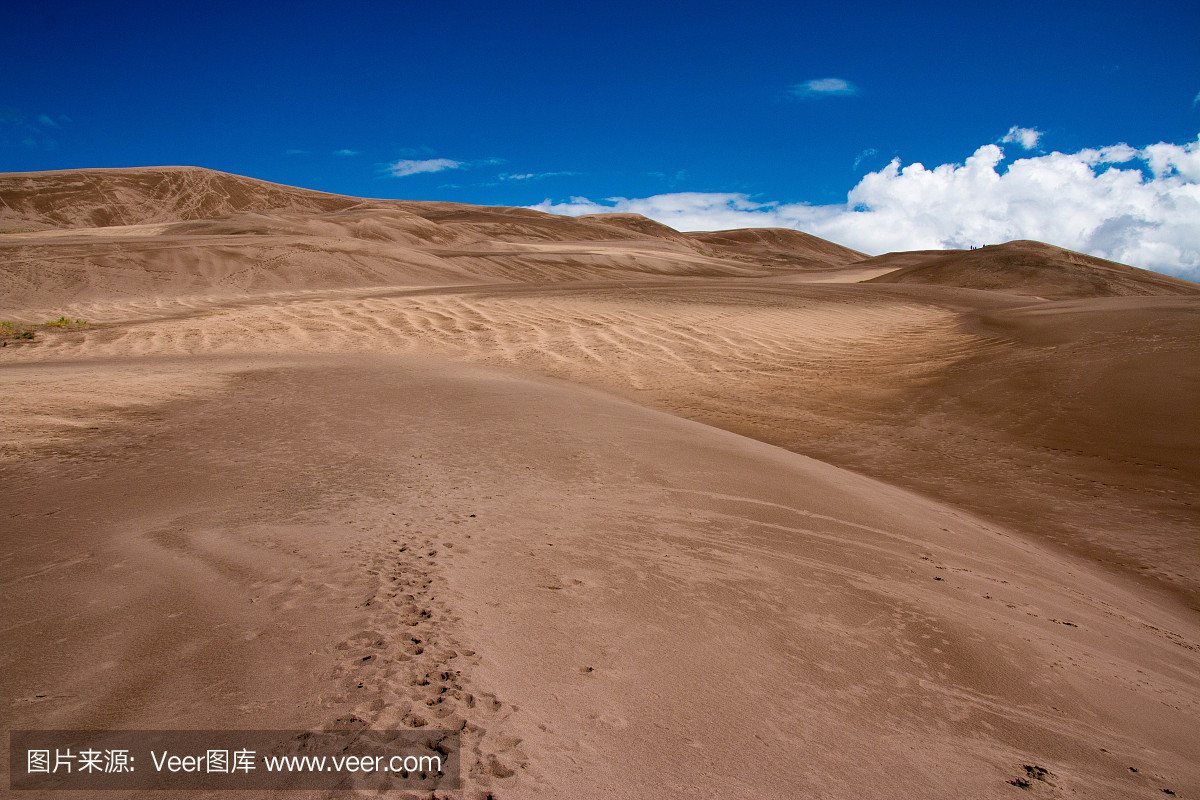 沙滩滑板,沙丘滑板,沙丘滑板游戏,自然