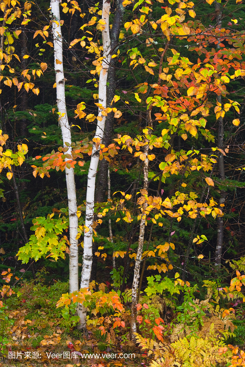观光公路,旅游专线公路,游客路线,观光路线