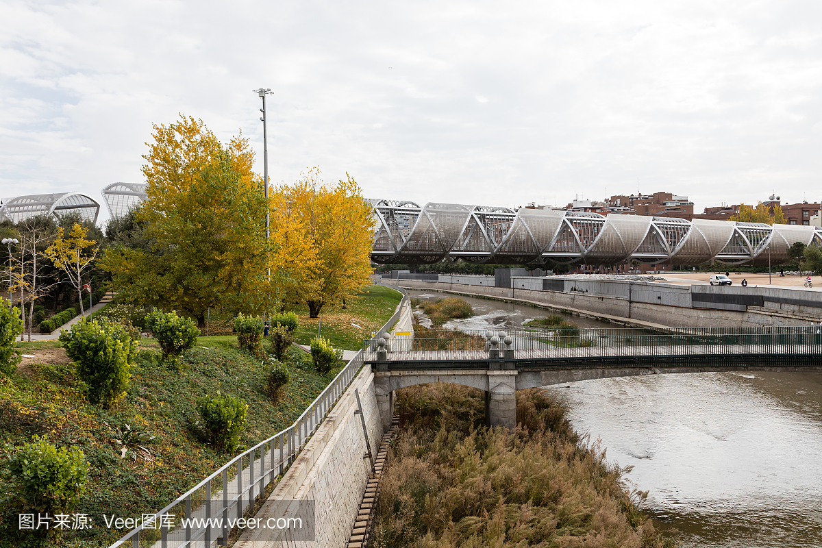 Arganzuela桥,在马德里河流域,树木与秋天的颜