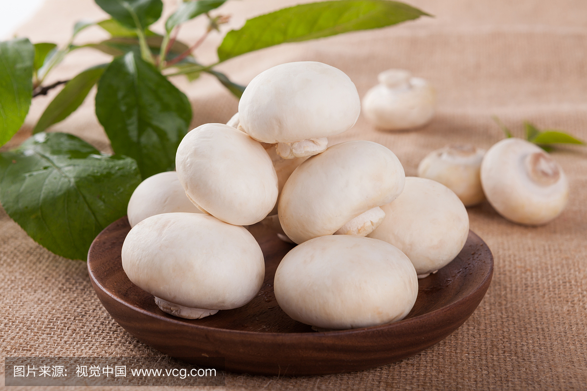 7 種常見菇類介紹：營養價值、料理撇步、精選菇菇食譜