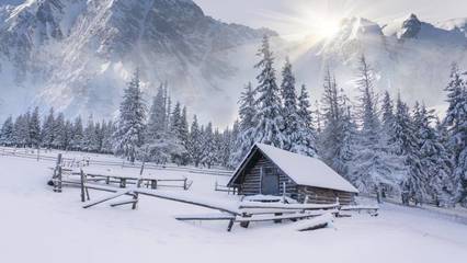 雪中情侣脚印
