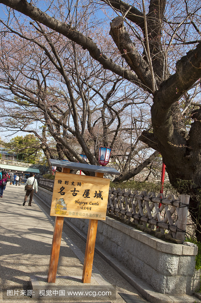 名古屋城,金城,金鯱城,名古屋,爱知县,日本,亚洲