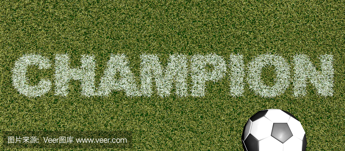 冠军 - 足球场上的草字体3D渲染