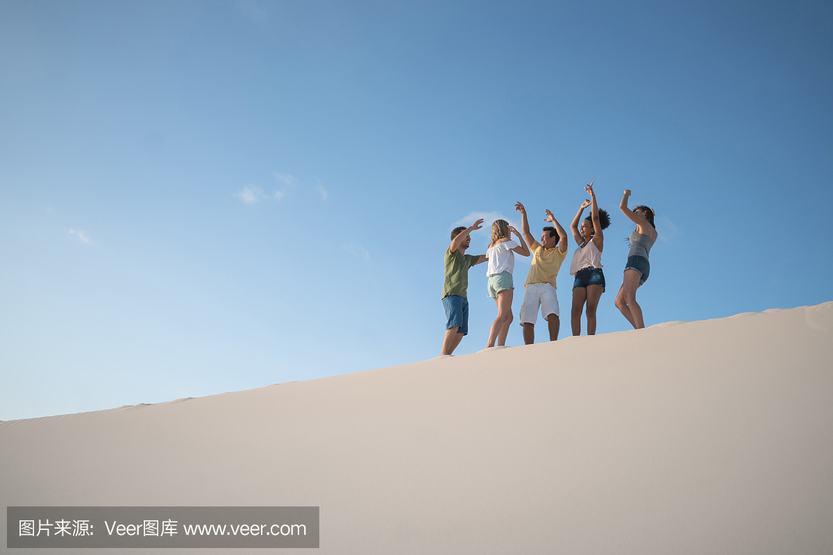 享受夏天的小组巴西朋友户外在沙漠