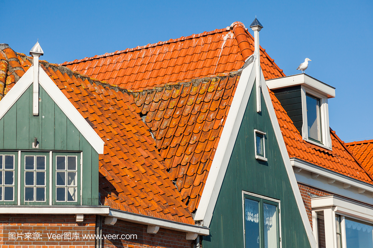 莱顿,荷兰大学,荷兰城市,乌特勒支