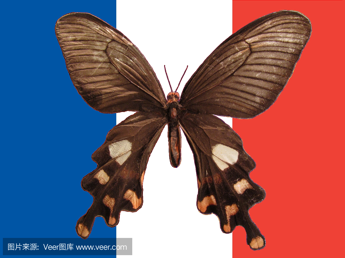 法国国旗,法兰西国旗,法兰西共和国国旗,法国旗