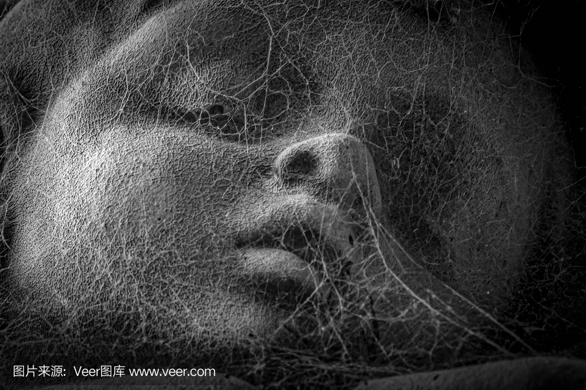 摄影,水平画幅,蜘蛛网,人的脸部
