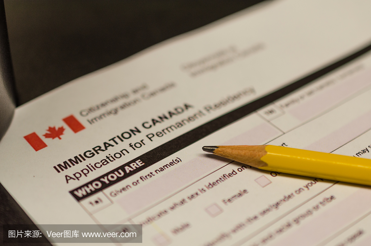 加拿大移民申请表