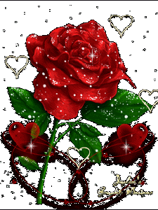 壁纸 花 桌面 225_300 gif 动态图 动图