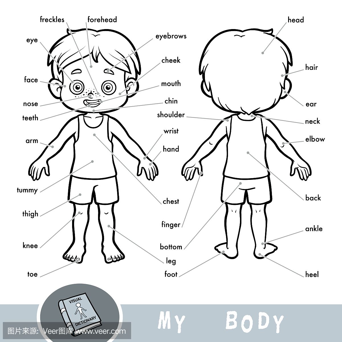 关于人体的儿童视觉字典。我的身体部分为男孩