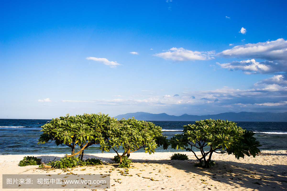 菲律宾蓝湖滨海红树林风光