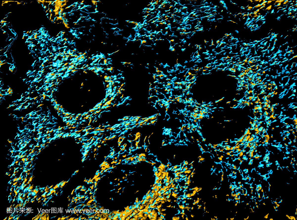 人宫颈癌传代细胞,子宫癌,宫颈癌细胞,海拉细胞