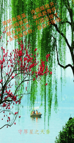 240_461 竖版 竖屏 gif 动态图 动图