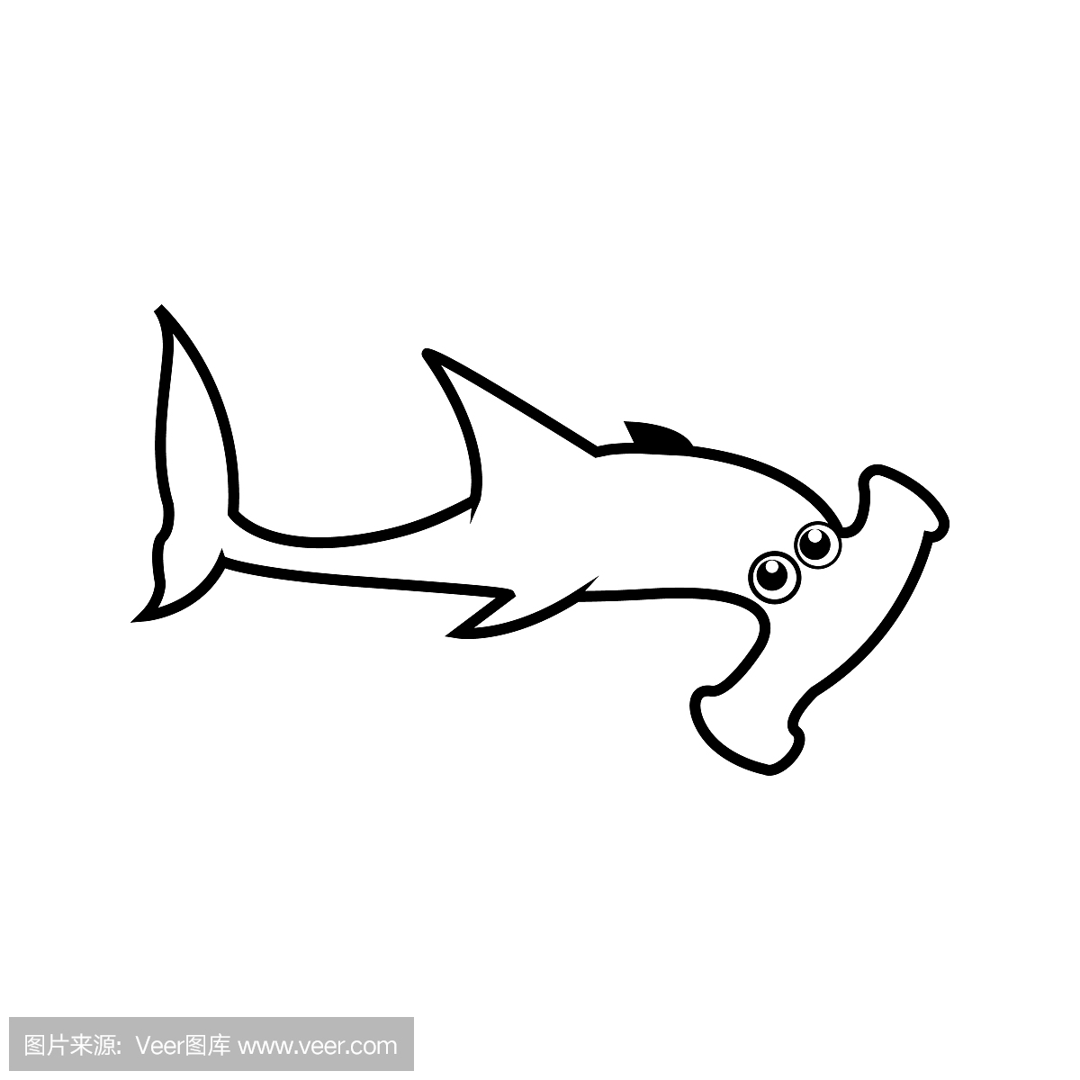 逆戟鲸,虎鲸,杀人鲸鱼,鲨鱼