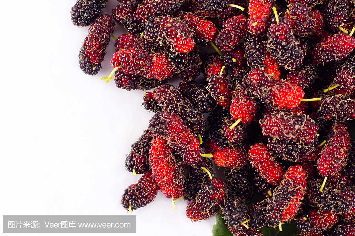 桑is是健康桑super的超级健康在白色背景隔绝