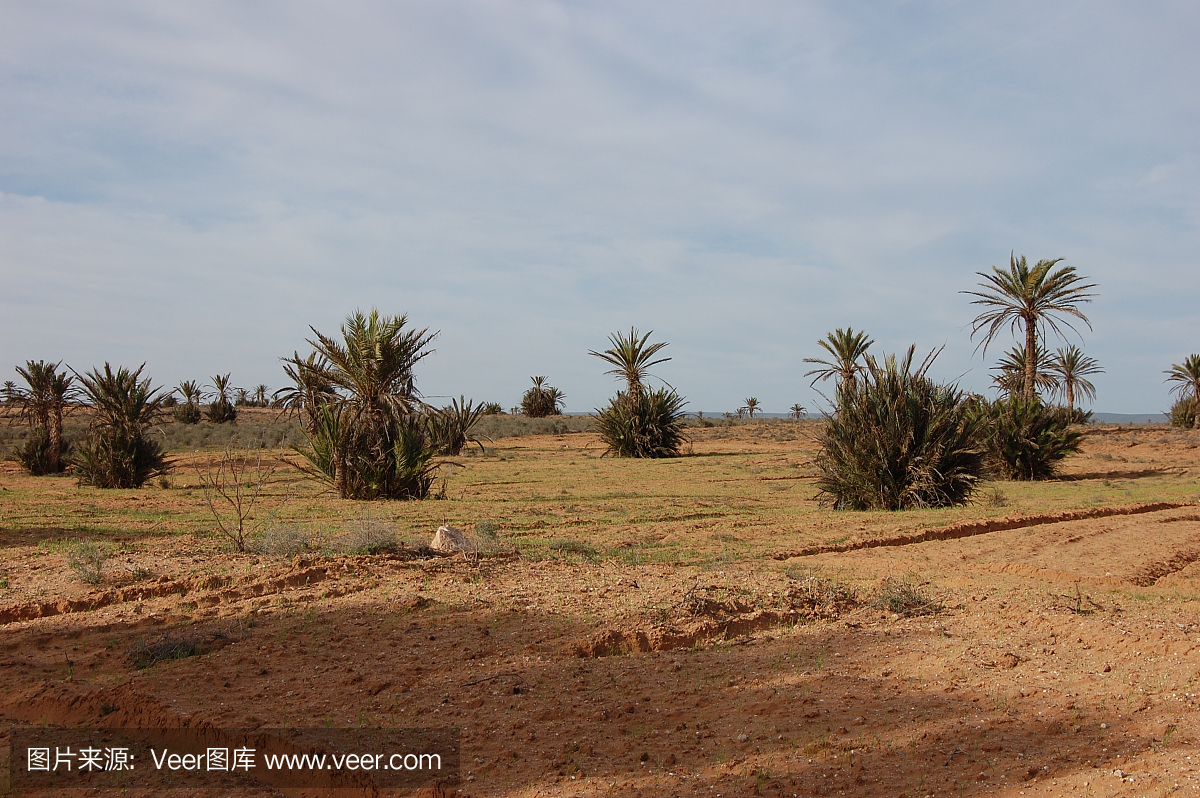 西撒哈拉沙漠,西撒哈拉,阿加迪尔(摩洛哥西南港