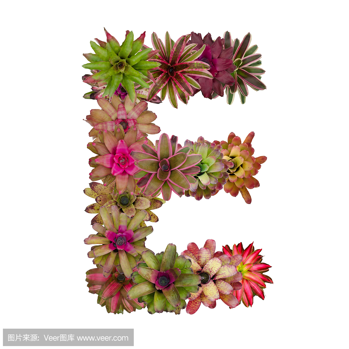 短笛,笛子,英文字母E,E字母的