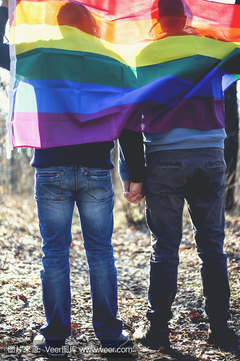 快乐男同性恋夫妇手牵手和彩虹旗