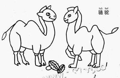 骆驼怎么画简笔画图解
