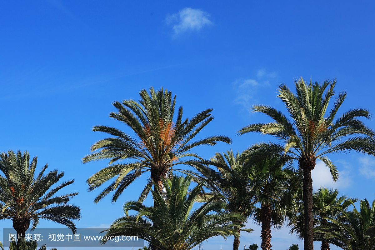 南欧血统,环境,天气,著名景点
