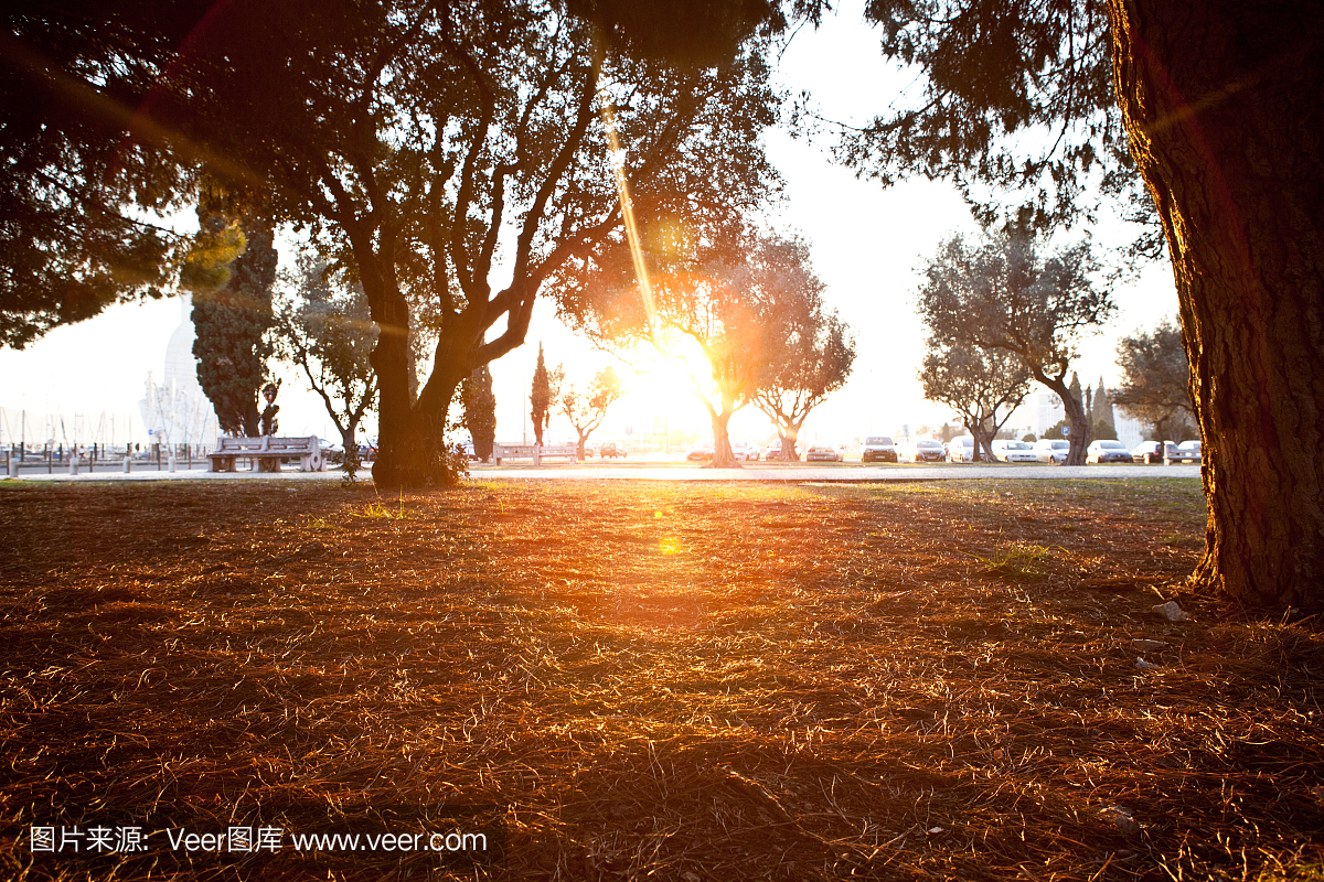 里斯本,葡萄牙首都,四季,4季节