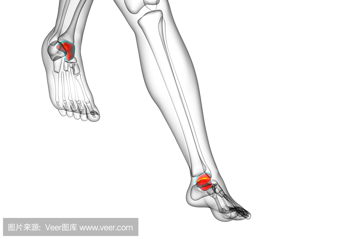 阿基里斯,阿喀琉斯,阿基里斯的脚踵,阿基琉斯