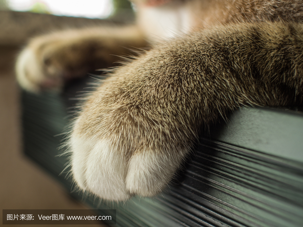 颤抖,打哆嗦,哆嗦,打战