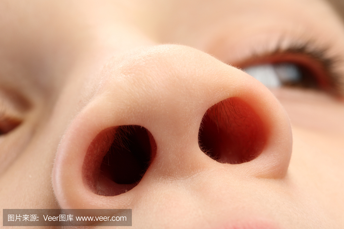 人的鼻子,鼻子,鼻孔,鼻梁