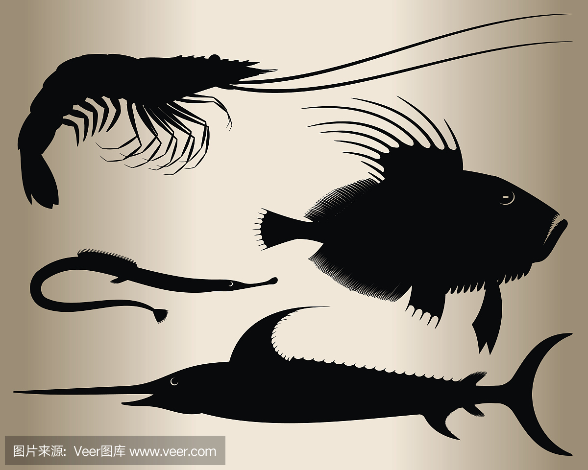 鲉,蝎子鱼,轮廓线画,无人