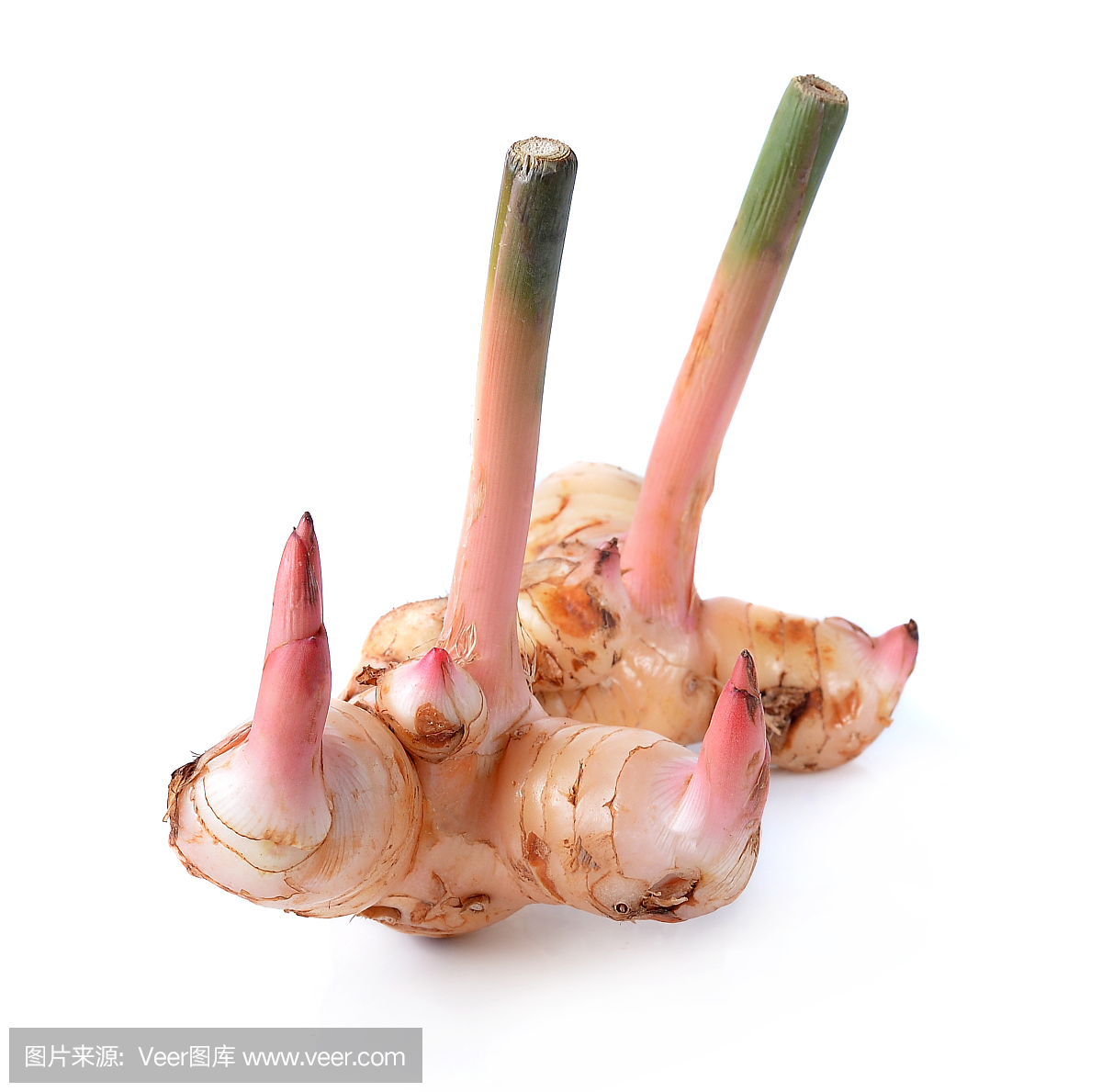 高良姜被隔绝在白色背景上