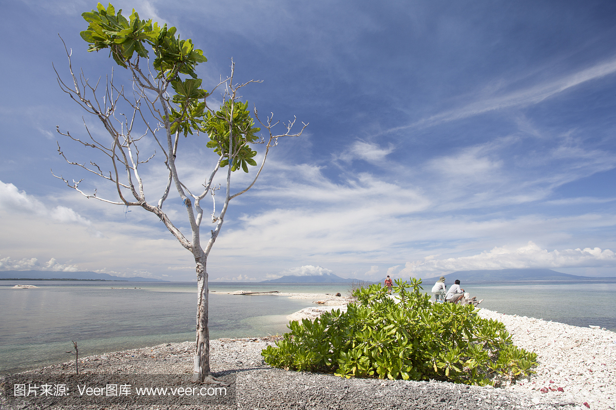 马鲁古,马鲁古群岛,苏拉威西,印尼苏拉威西