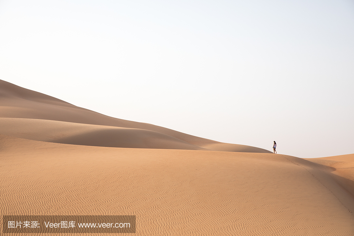 迪拜,迪拜国,杜拜,沙特阿拉伯