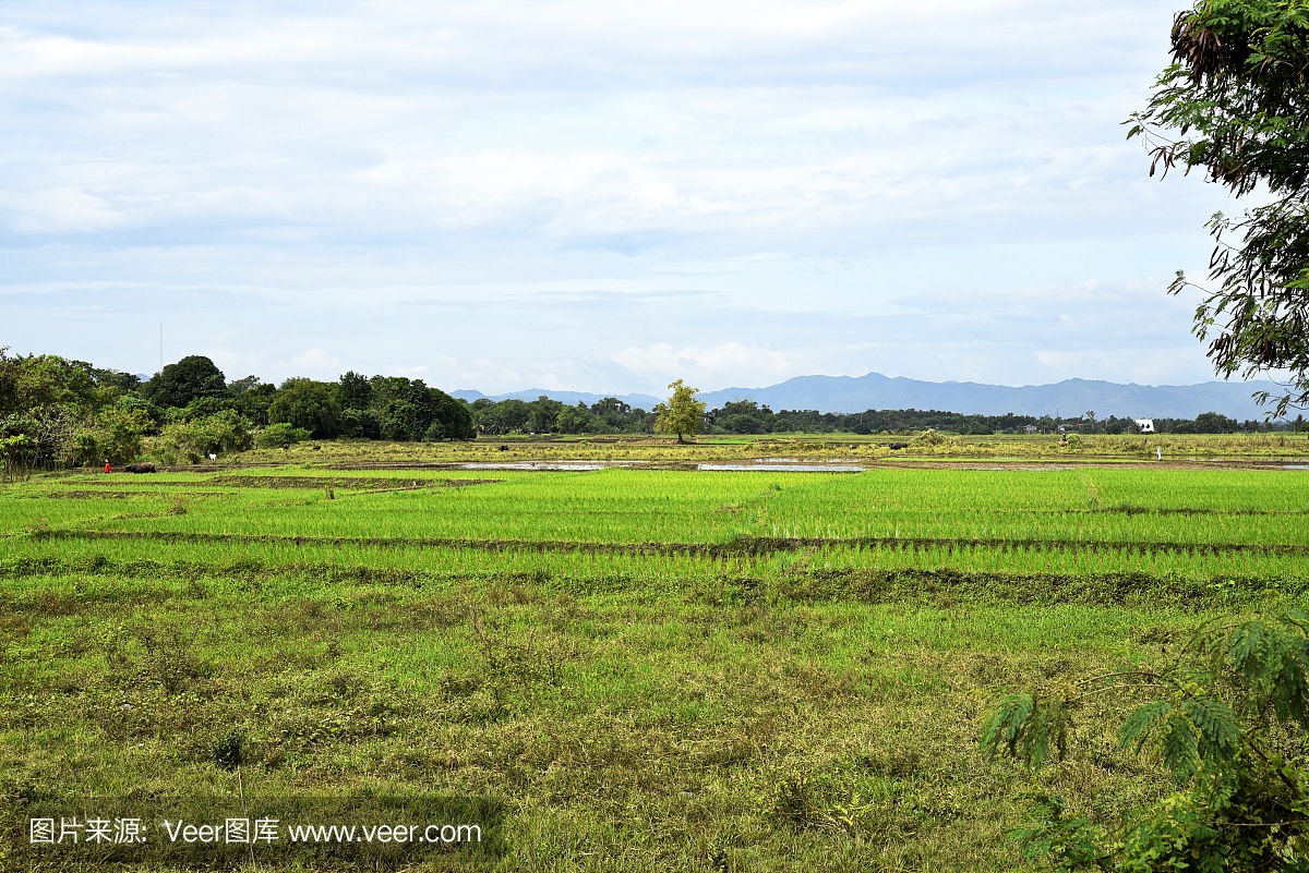 圣地亚哥市观光,道路和城市景观,菲律宾稻田。