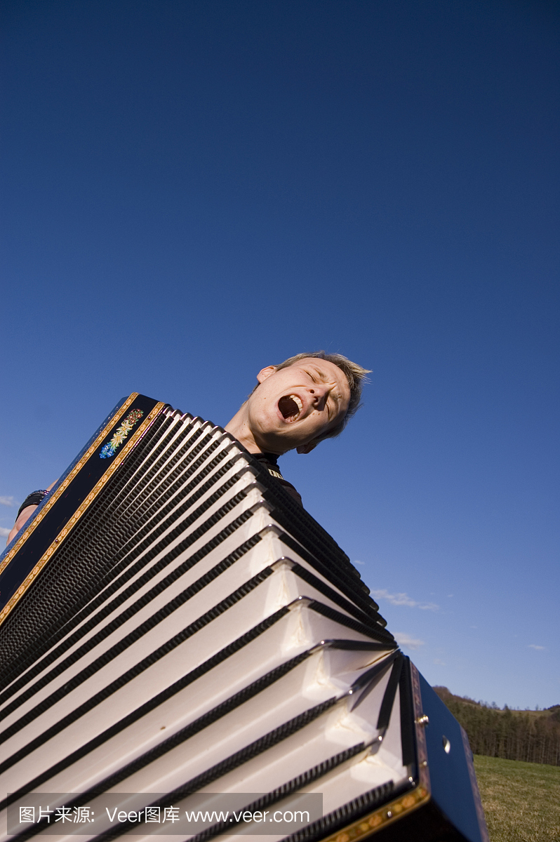 手风琴,风琴,独奏演员,独奏