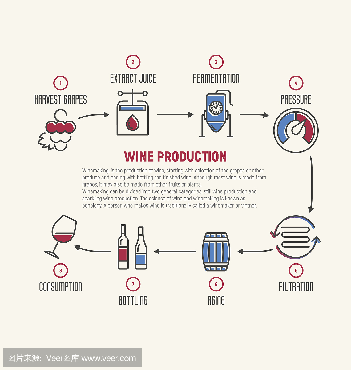 葡萄酒发酵细线图,制作。葡萄酒如何制作,葡萄