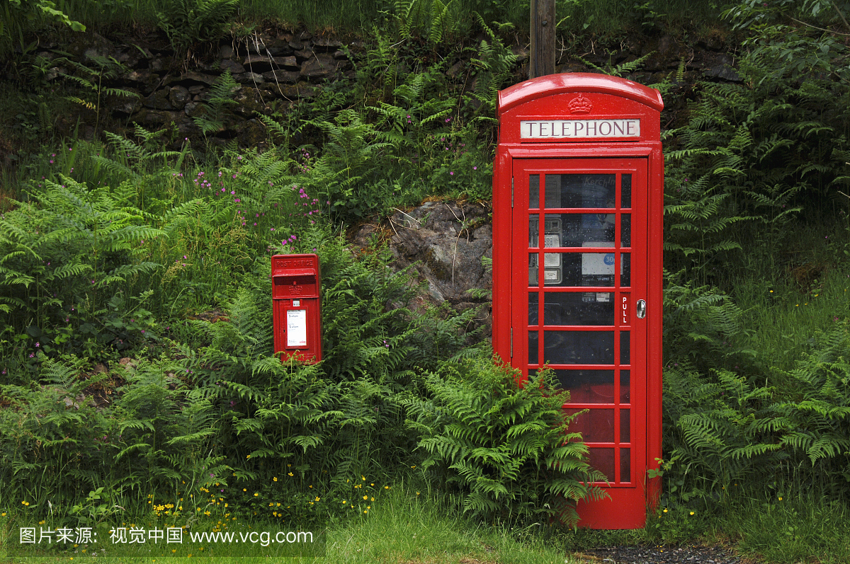 红英国皇家邮政电话箱站在绿色绿色旁边红色邮