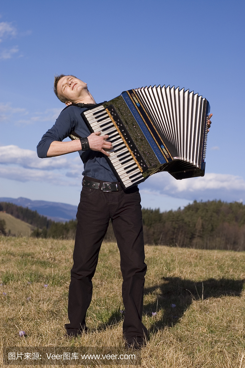 手风琴,风琴,独奏演员,独奏者
